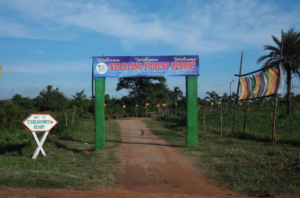 Taptapani Resort | STARLING FOREST RESORT