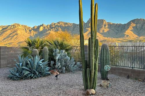 Catalina Shadows Estates House | Starmist Mountain View