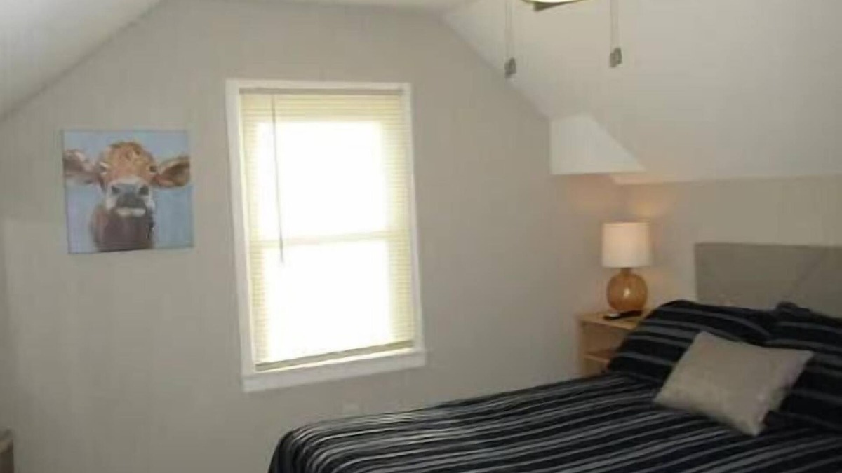 Owatonna House | "Stars and Stripes" on Glendale