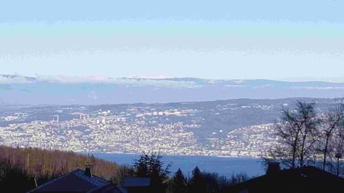 Thollon-les-Memises Apartment | Station Thollon - Vue sur le Lac - EVIAN