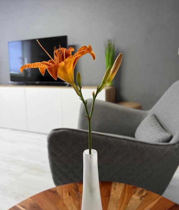 Gieckau Apartment | stay!apart Gieckau