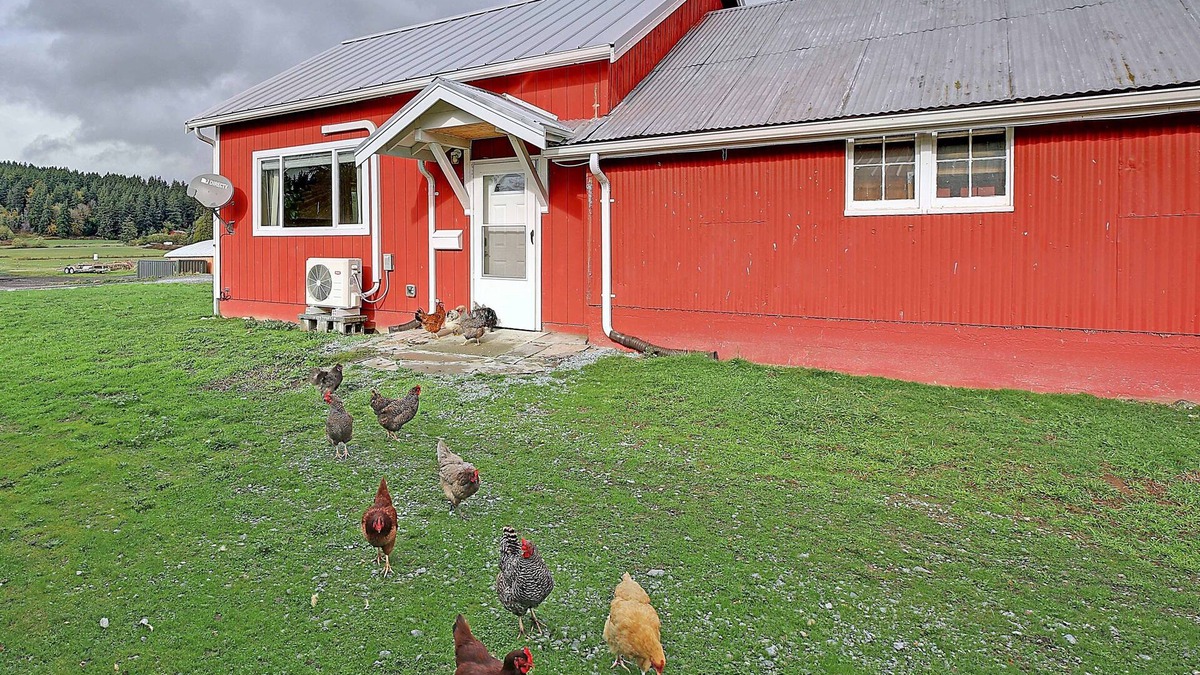 Camano Island House | Stay at the Ranch! Bunkhouse is in the heart of Camano Island.