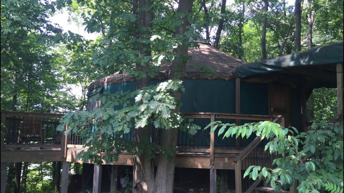 Lawton Cabin | Stay In A Yurt! Secluded And Wooded Acreage On A Lake! Lawton Mi