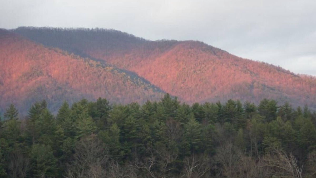 Pigeon Forge Condo | Stay near Titanic & shows in Pigeon Forge