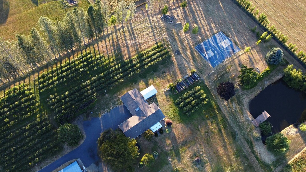 Dollar Corner Other | Stay on a Blueberry Farm! Cute Farmhouse with Pickleball Court!
