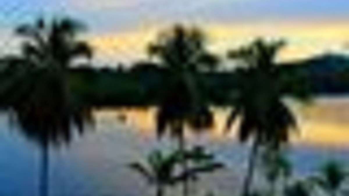 Haiti Apartment | Stay on the last preserved island of the Caribbean