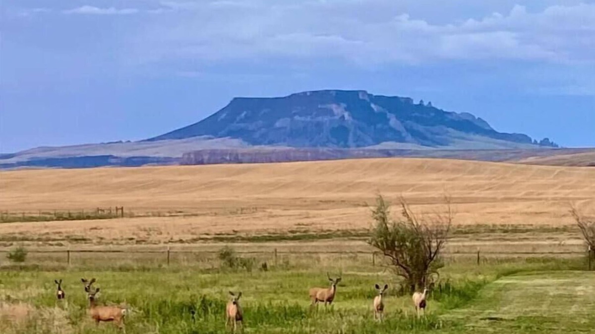 Chouteau County House | Stay Rural