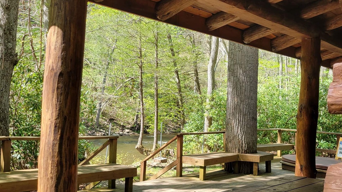 Elkins Cabin | Stay WATERFRONT ! Stay CHEAT RIVER LODGE