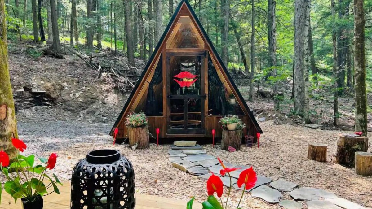 Sidney Cabin | Stay Wild - Upscale Glamping in NY