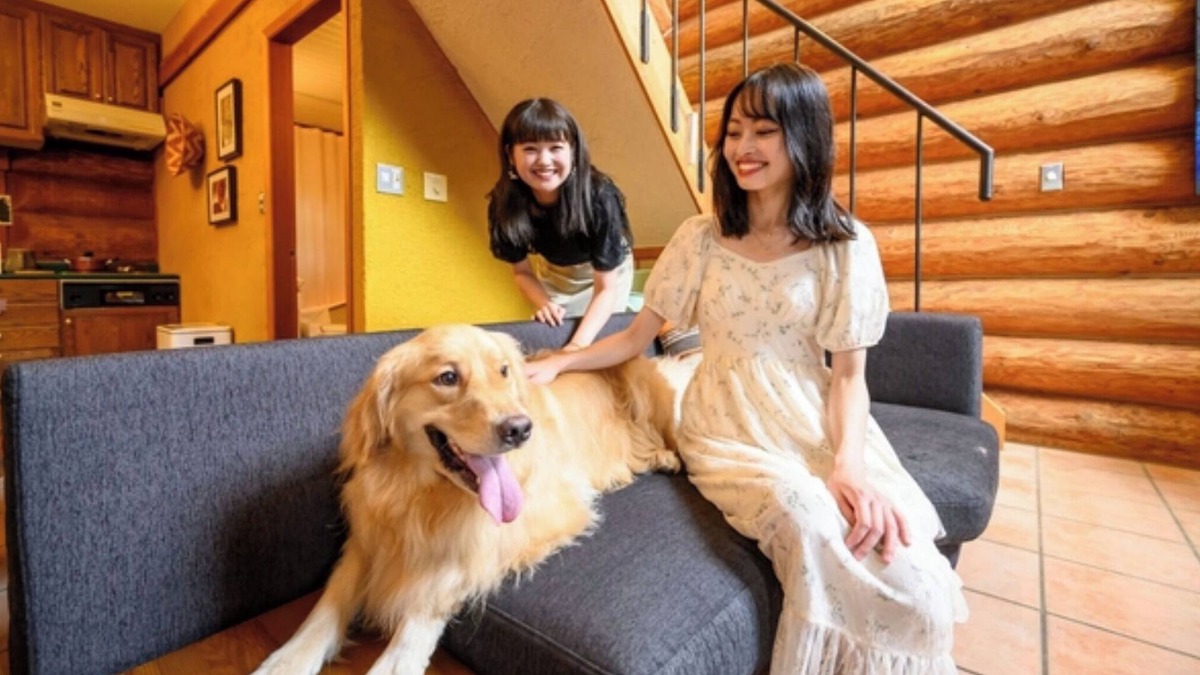 Shima Hotel | Staying with pets allowed 4 beds pet fee 2000 y/Shima Mie
