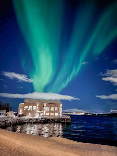 Tromso Apartment | Steam Pier