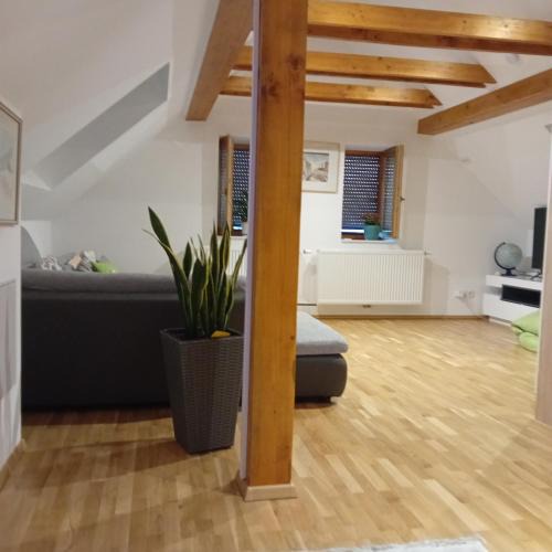 Oberschuetzen Apartment | Steggasse1
