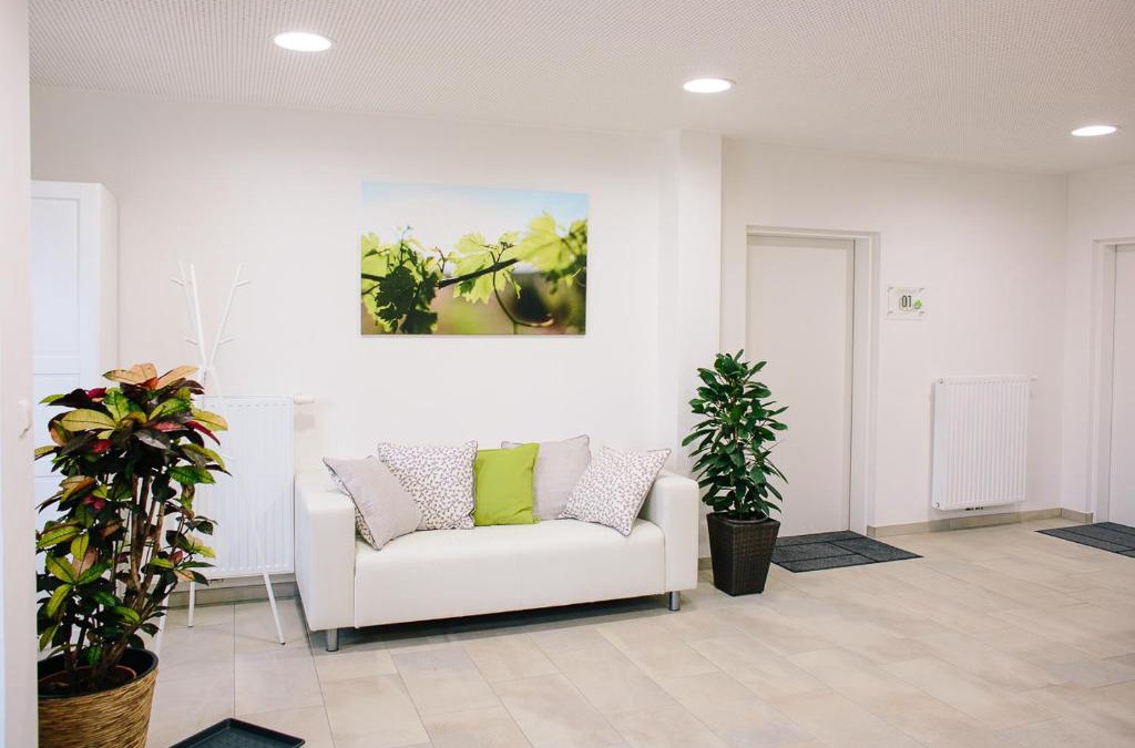 Ehrenhausen an der Weinstraße Apartment | Steira-Studios
