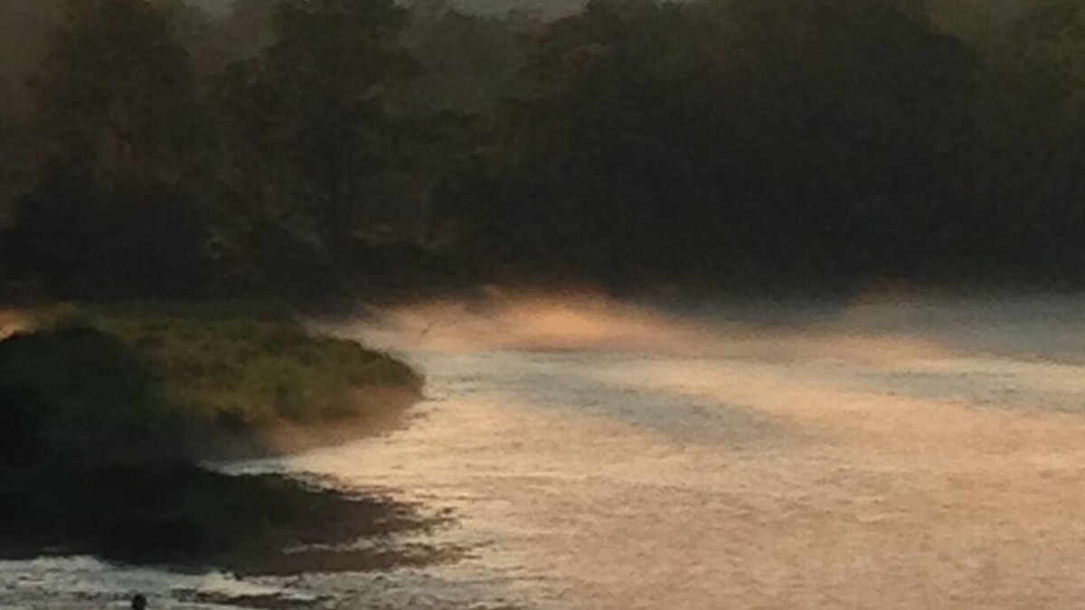 Hancock Cabin | Steps away from world famous Delaware River fishing. Cabins on spacious lot.