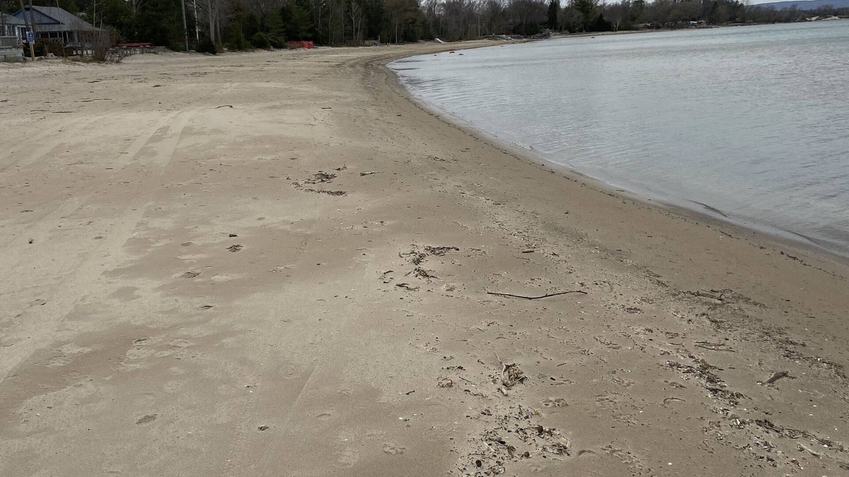 Wasaga Beach Cottage | Steps to the Beach & Minutes to the Mountains!