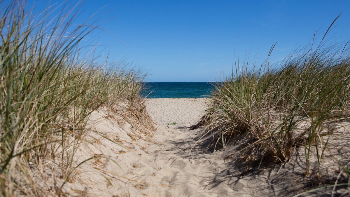 Siasconset House | STEPS TO THE SAND AND PLAYGROUND IN SCONSET CODFISH PARK 15 BEACH ST