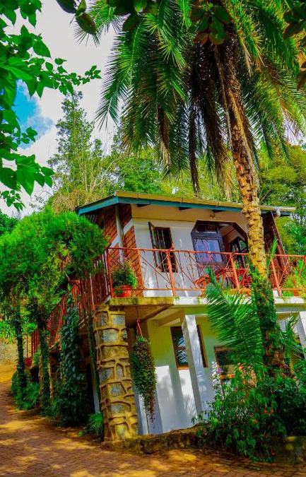 Lushoto House | Steven and Dayness homestay
