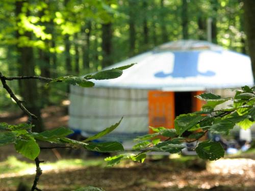 Hoor Municipality Hostel | STF Nyrups Naturhotell