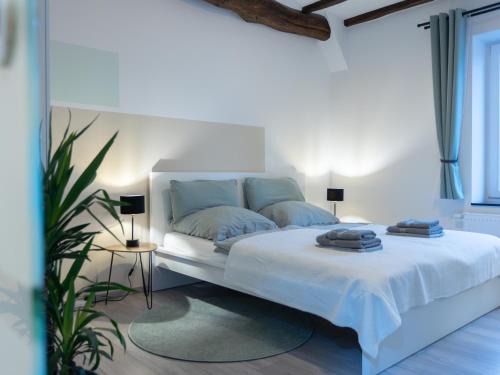 Aachen Apartment | Stilvolle Wohnung in Aachen Brand mit Terrasse