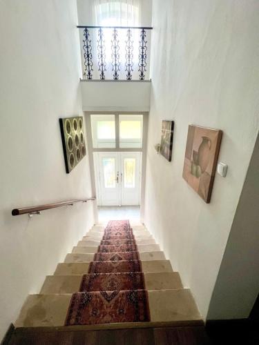 Baden Apartment | Stilvolles Studio- Apartment mit einzigartiger Aussicht