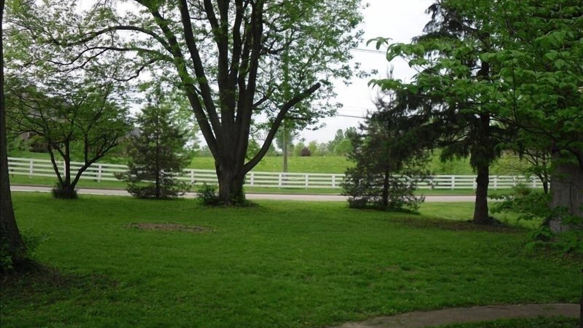 Lexington House | Stone Cottage @ Calumet Spring On 4 Beautiful Acres Of Kentucky Bluegrass!