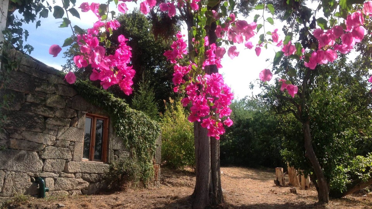 Teis Cabin | Stone Cottage Great for 2 + 1 people.