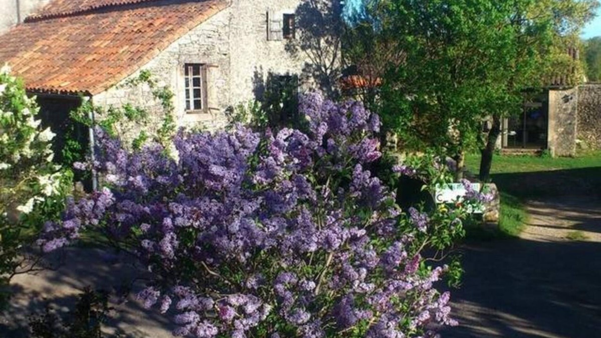 Vissec House | Stone house in the heart of Larzac – Nature, free-roaming horses, and guaranteed relaxation