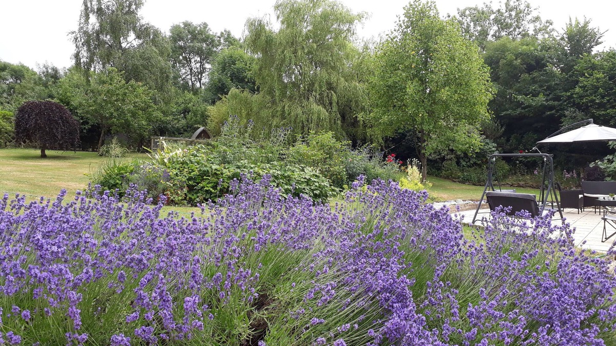 Alweston Bed & Breakfast | Stoneleigh Barn B&B