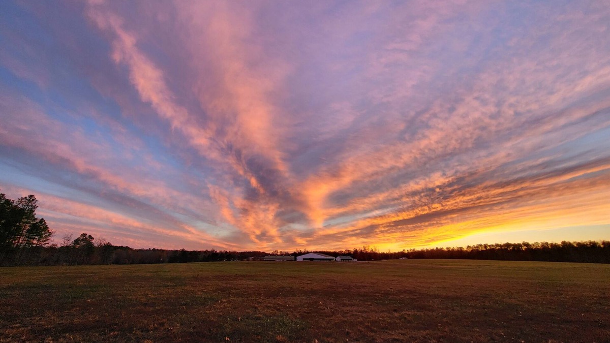 Chesterfield Apartment | Stonewall Manor nCozy 1-bedroom with WiFi and AC on five star horse farm.