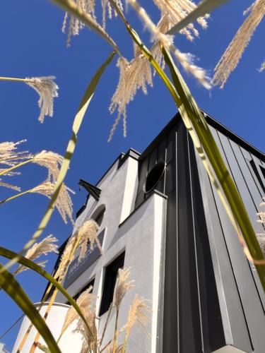 Lubmin Apartment | Stormy im Nauticum