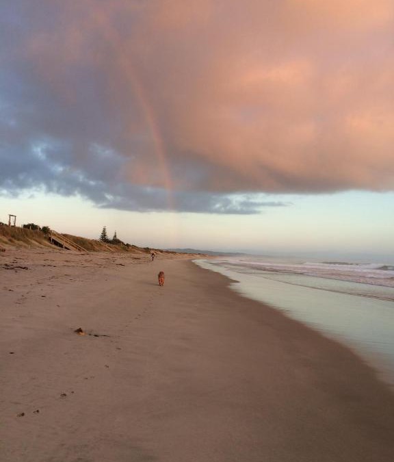 Waipu Bed & Breakfast | Strathaven Bed and Breakfast