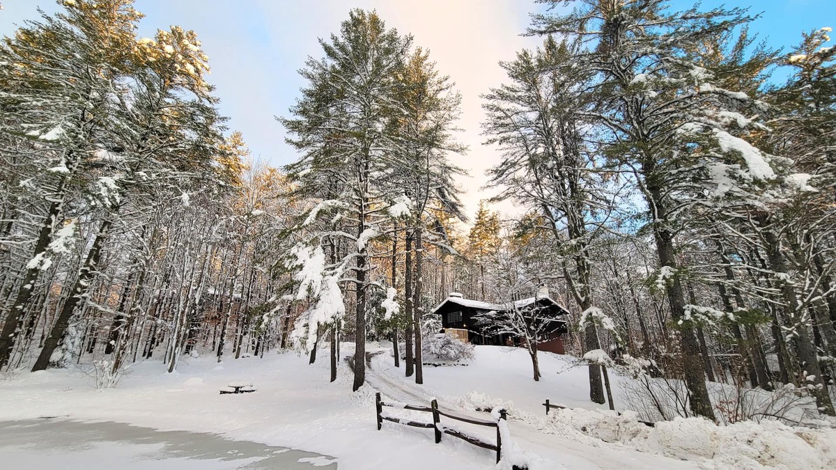 Winhall Ski Chalet | Stratton Mountain Getaway: Ski Oasis w/Hot Tub, Fireplace, BBQ & Pond Views