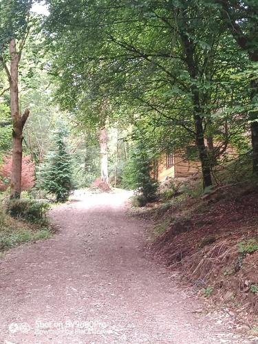 Glen of Aherlow Ski Chalet | Stream-side cabin and sauna