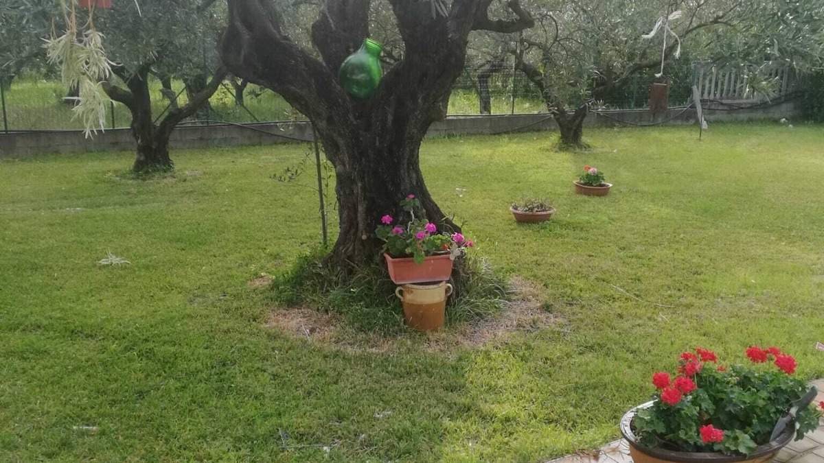 Lamezia Terme House | STRUTTURA RICETTIVA CON PISCINA PRIVATA