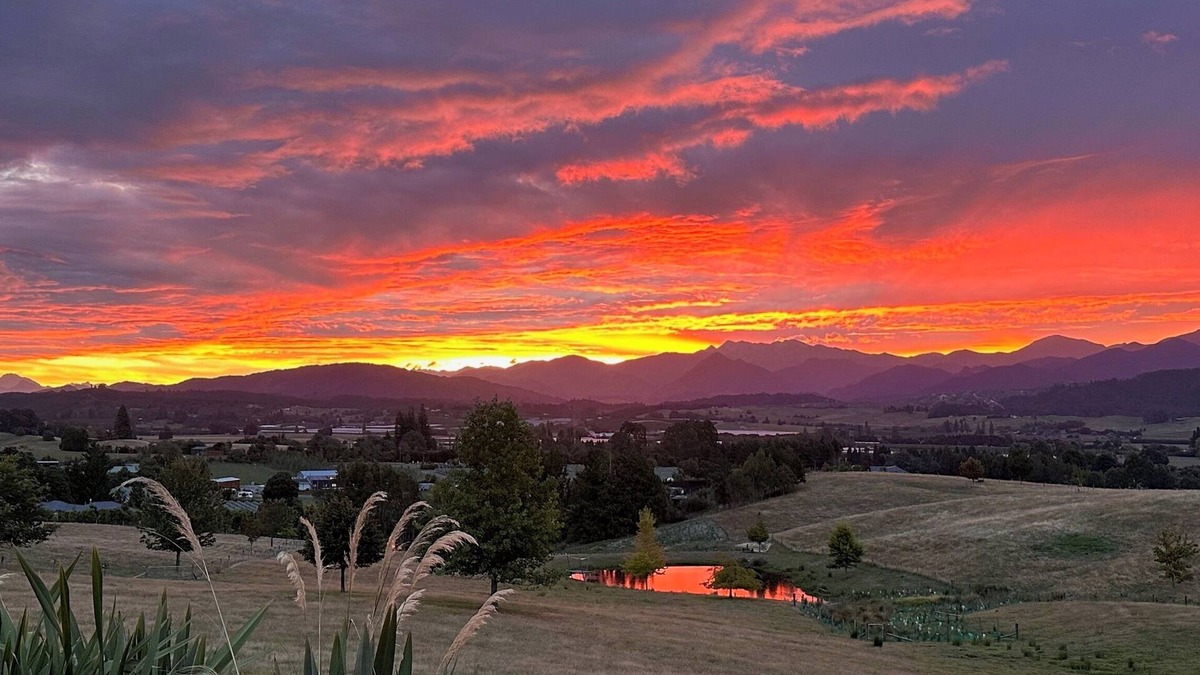 Motueka Other | Studio 1, Studio One - Tasman View Accommodation