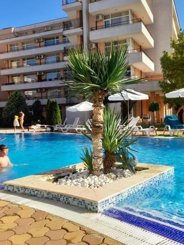 Ovcha Kupel Apartment | Studio 3 Grand Kamelia Sunnybeach