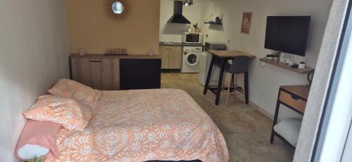 Villeneuve-le-Roi Apartment | studio 30 m2