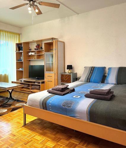 Monthey Apartment | Studio Anémones, meublé, équipé, Monthey