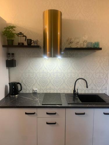 West Pomeranian Voivodeship Apartment | Studio Apartament z Tarasem