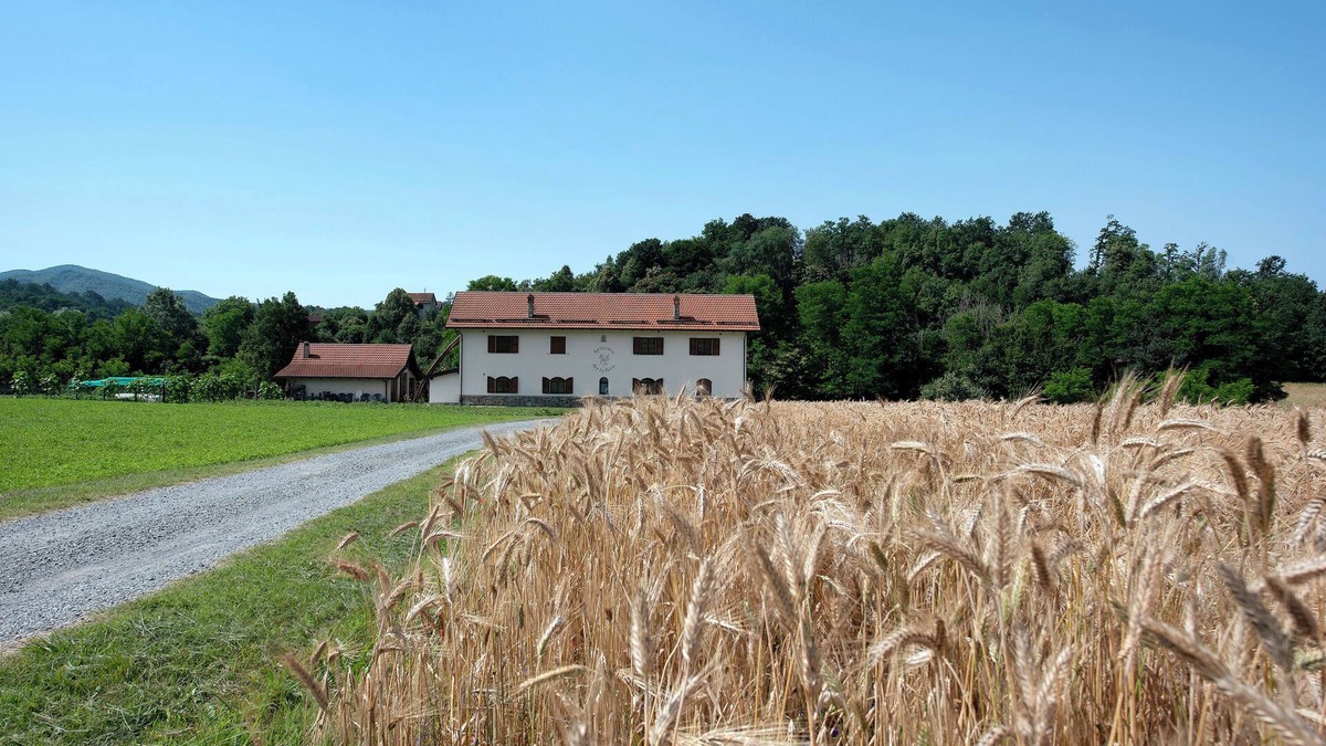 Sassello Apartment | Studio Apartment 'Ant Ra Prina Verde' with Mountain View and Shared Garden