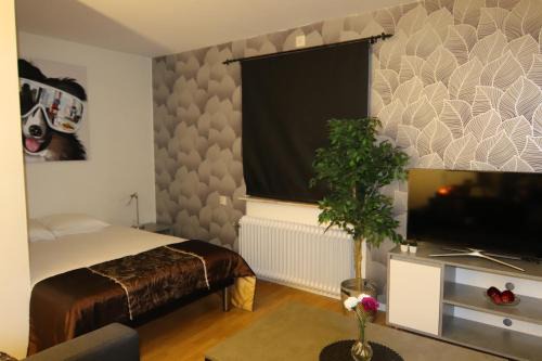 Karlshamn Apartment | Studio Apartment