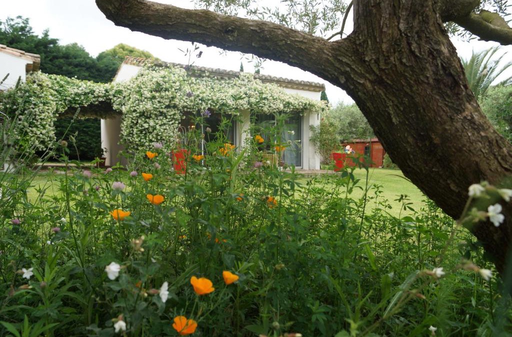 Beauvoisin Bed & Breakfast | Studio au coeur de la petite camargue