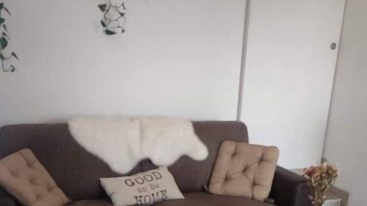Val de l'Ognon et de la Linotte Apartment | Studio Avec Entrée Indépendante, au Calme. Animaux Acceptés