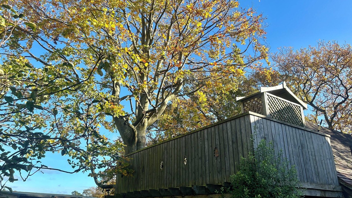 Cowbeech Apartment | Studio & balcony with tree growing through it, spiral staircase, stunning views.