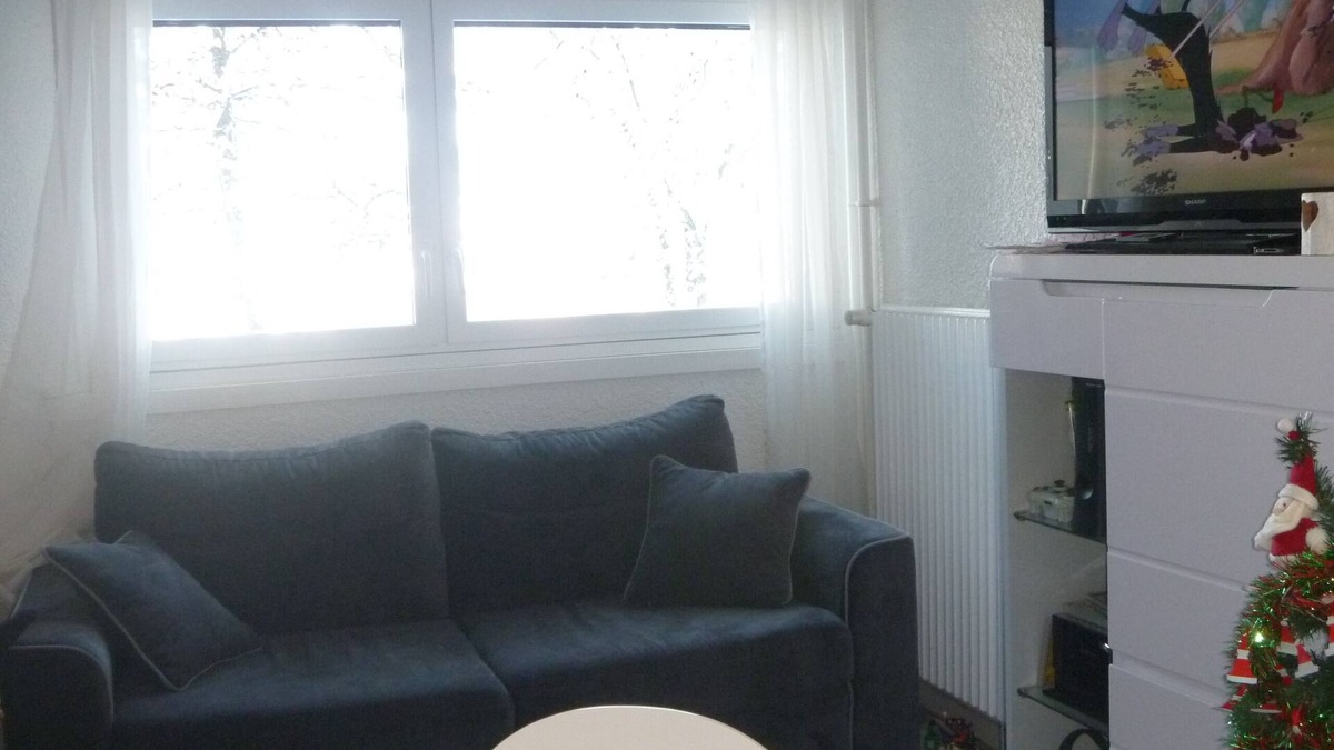Les Adrets Apartment | STUDIO cabin 33m2 at the foot of the slopes and shops