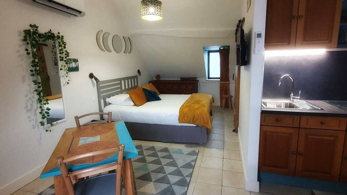 La Charite-sur-Loire Apartment | Studio charme, quiet, bright, exceptional view