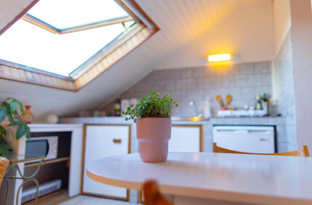 Belfort Apartment | Studio cocon sous les toits de Jaurès