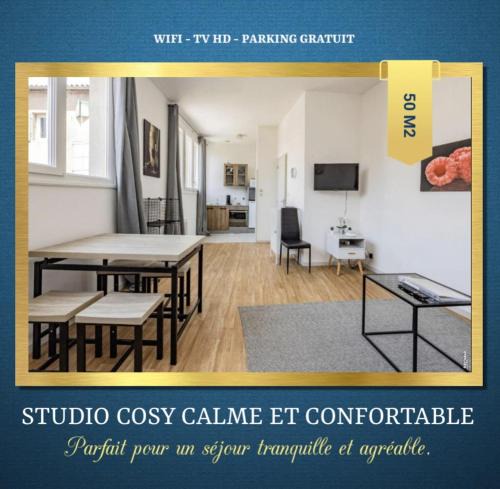 Graulhet Apartment | STUDIO COSY - HYPERCENTRE - CALME - 50M2 - Wi-FI