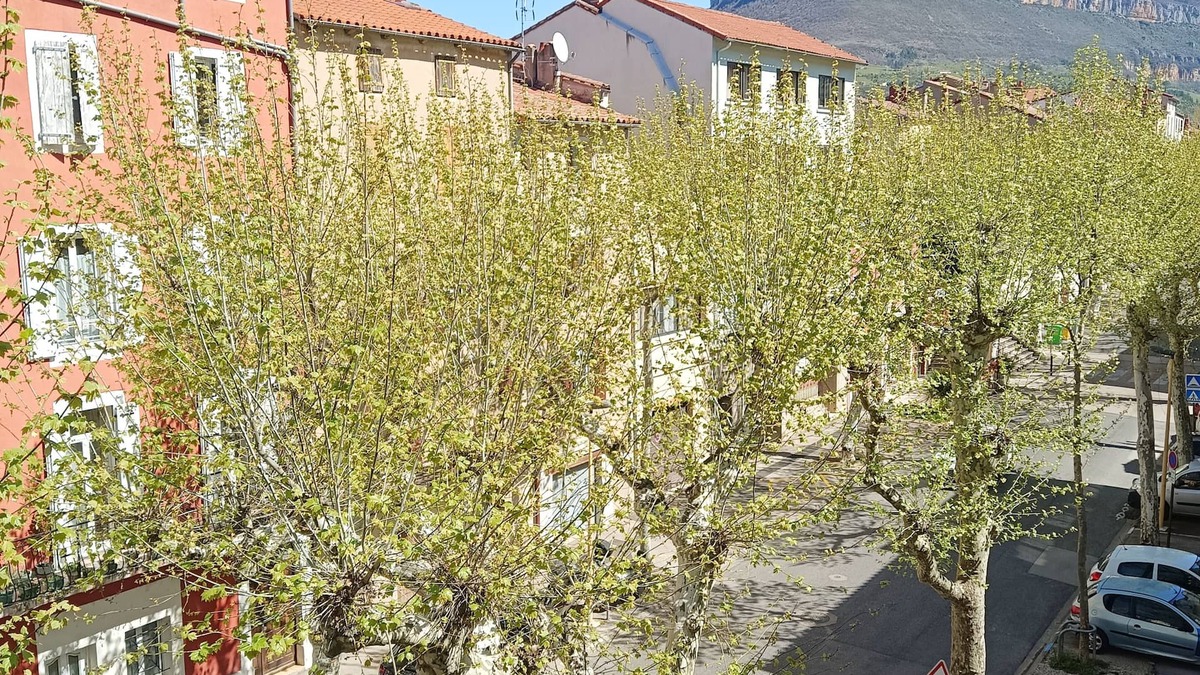Millau Apartment | Studio Cosy - Plein Cœur Millau