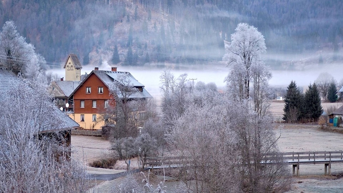 Menzenschwand-Hinterdorf Apartment | Studio C2 with a small conservatory for 2 people